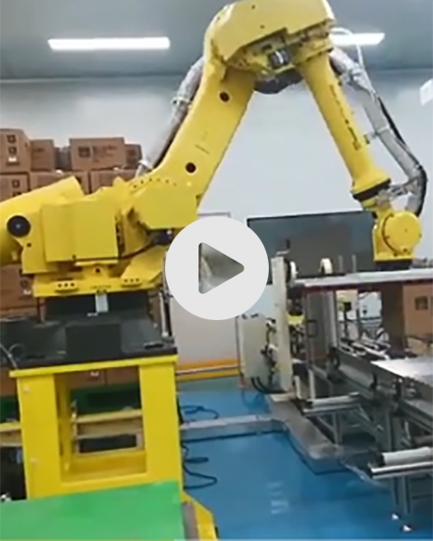 ?非標集成式吸盤吸具抓取多規(guī)格紙箱